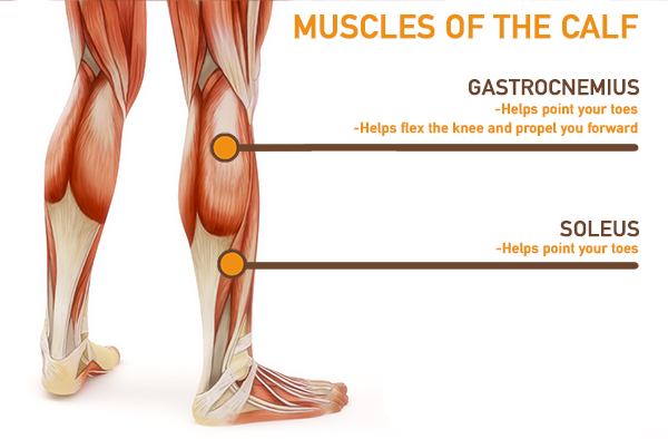 8 Calf Exercises for Maximum Results