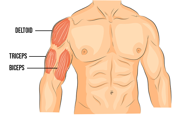P90X Shoulders and Arms Workout: Tips and Advantages