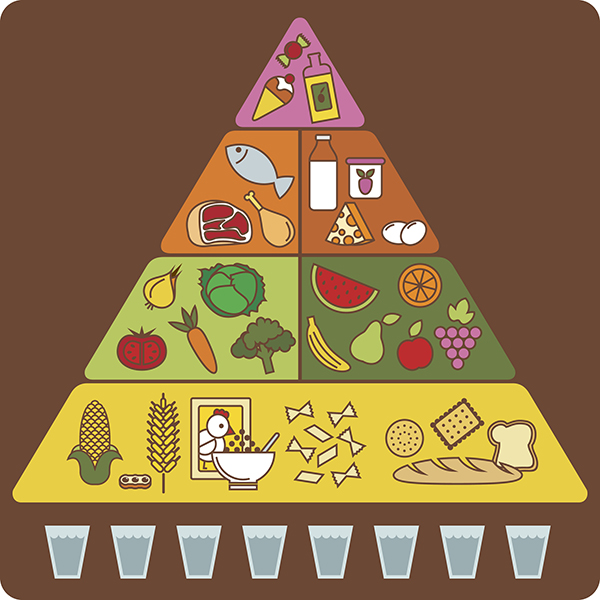 Recommended Portions from Each Food Category