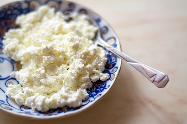 Top 10 Sources of Plant-Based Protein for BODi